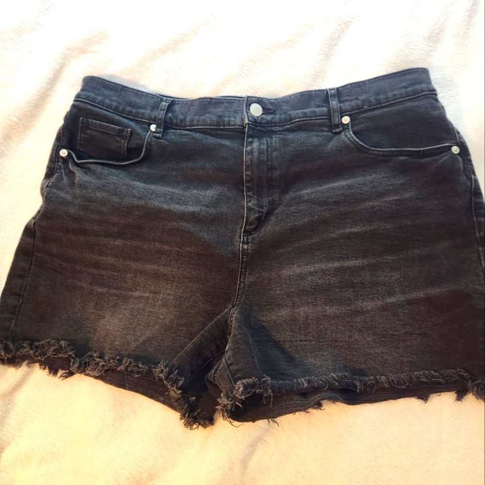 Women's size 14 Black Loft Jean shorts NWOT Condition